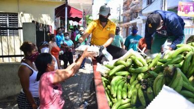 Photo of Inespre inicia venta masiva de plátanos