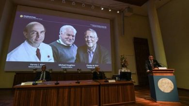 Photo of Los tres virólogos que descubrieron el virus de la hepatitis C ganan el Nobel de Medicina