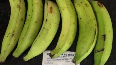 Photo of ISA recomienda consumir otros víveres ante alto costo del plátano