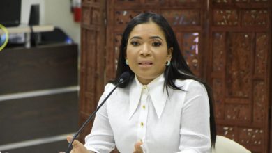 Photo of Anibelca Rosario; iniciativas y planes en caso de ser elegida como miembro JCE