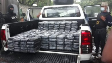Photo of Ocupan 350 kilos de cocaína en municipios de Peravia