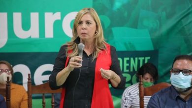 Photo of Presidente Abinader nombra a Sergia Elena; fue candidata vicepresidencial de Leonel Fernández en la Fuerza del Pueblo