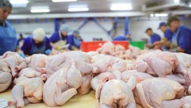Photo of Gobierno autorizará libre importación de pollo para paliar aumento de precios