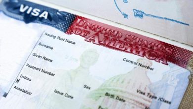 Photo of EE.UU. busca mano de obra; anuncia 20.000 visas de trabajo temporal