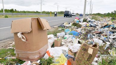 Photo of La basura vuelve a abundar en las calles de Santo Domingo Este