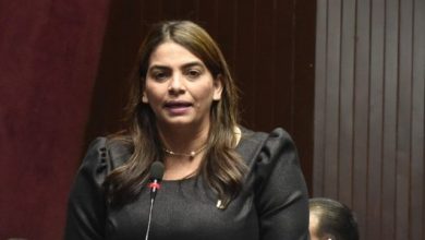 Photo of Diputada asegura delincuencia tiene a la provincia Sánchez Ramírez en alerta roja