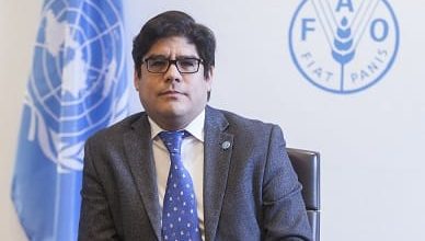 Photo of La FAO advierte: «RD debe prepararse para una subida de precios prolongada»