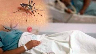 Photo of Informe registra más de tres mil pacientes con sospecha de dengue en un mes